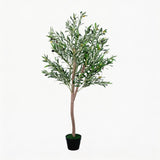 Garvee Olive Trees Artificial Indoor, 5FT Tall Faux Olive Tree with Planter, Artificial Olive Tree with Natural Wood Trunk & Lifelike Fruits for Home Office Living Room Decor
