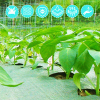 PHO_33TLGED9