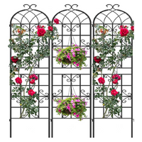 PPG_35S7R8HJ