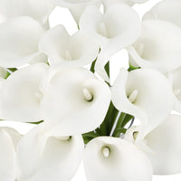 PHK_3756G9NP