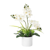 Garvee Real Touch Phalaenopsis Orchid in Pot, Artificial Fake Flowers with Vase for Table Centerpieces, Large Faux Orchids for Indoor Home Room Decor, Office Desk Decorations (White,3PCS) - White