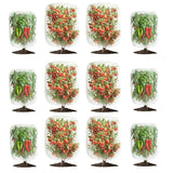 Garvee Garden Plant Netting for Fruit Trees & Vegetables, 12-Pack Drawstring Mesh Covers with 6 Small 3.3 x 2.6 FT and 6 Large 4.9 x 3.3 FT Bags, White