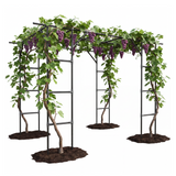 Garvee Garden Arch Trellis, Galvanized Steel Tunnel with UV-Coated Black Finish for Grapes, Roses, Tomatoes and Climbing Plants