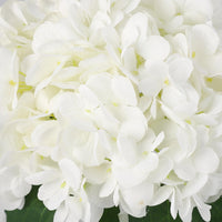 PHK_374XXETE