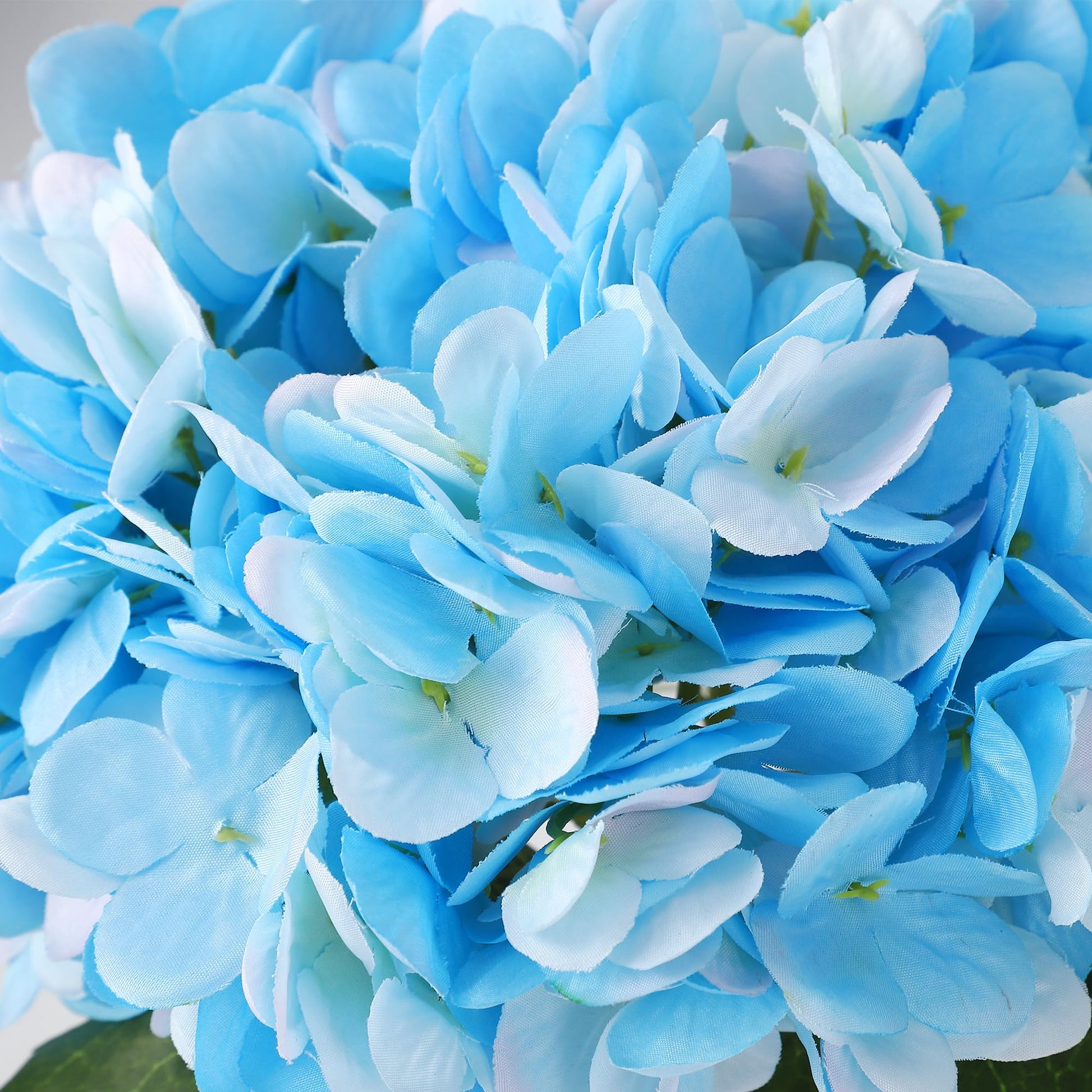 PHK_374XZNAO