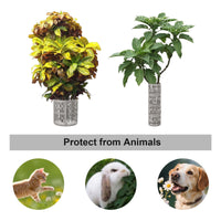 PPG_33DBBJBG