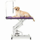 Garvee 42.5" Hydraulic Dog Grooming Table for Pet, Heavy Duty Z-Lift Hydraulic Max Load 350Lbs Professional Pet Grooming Table for Dogs with Adjustable Arm Noose Non-Slip Rubber Surface, Purple