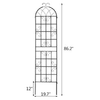 PPG_35S7R8HJ