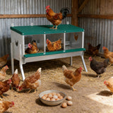 Garvee Stainless Steel Chicken Nesting Box with 3 Compartments, Roll-Away Egg Collection, Weather Resistant, Moisture Pads, Wall Mounted or Free-Standing, Outdoor Poultry Shelter