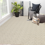 Garvee 5x7 Washable Braided Print Area Rug Non Slip Solid Color Indoor Carpet Foldable Non Shedding Flatweave Accent Rug Ultra Soft Thin Modern Farmhouse Rug for Living Room Bedroom, Beige - Beige
